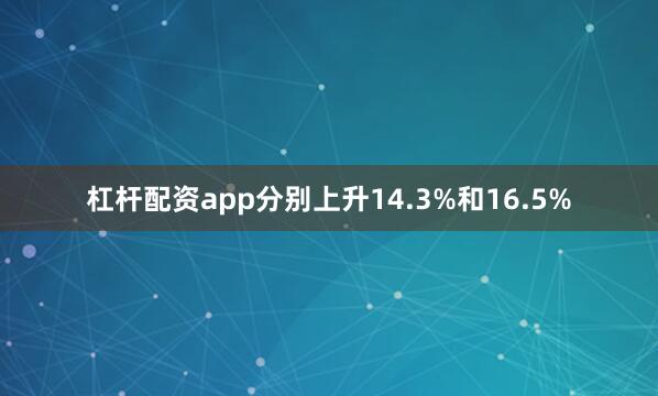 杠杆配资app分别上升14.3%和16.5%