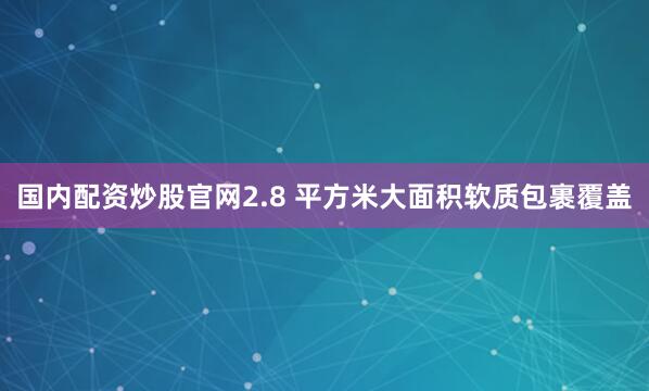 国内配资炒股官网2.8 平方米大面积软质包裹覆盖